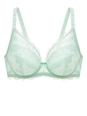 Understance Annette FlexWire Padded Plunge Lace Bra Aqua 40C